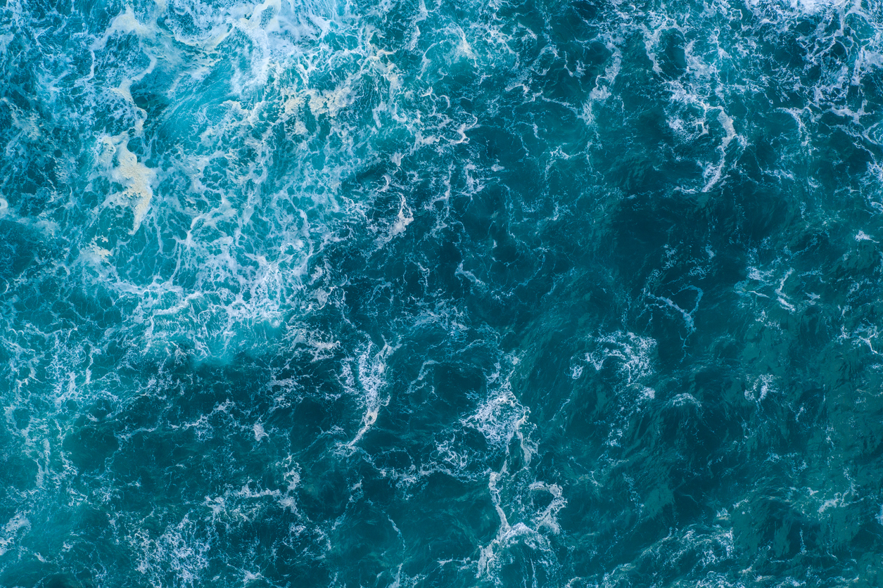 Difference Between the Ocean and the Sea? Blue Planet Aquarium